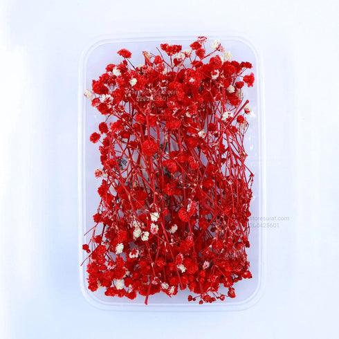 Red Baby Breath Dry Flower