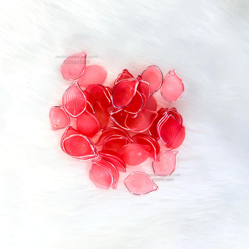 Red Flower Petal Silver