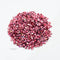 Red Ruby Shell Granule