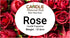 Rose Candle Fragrance - 15 ml
