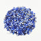 Royal Blue Shell Granule