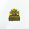 Royal Palki Gold Pendant