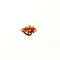 Shree Ram Metal Rakhi Charm