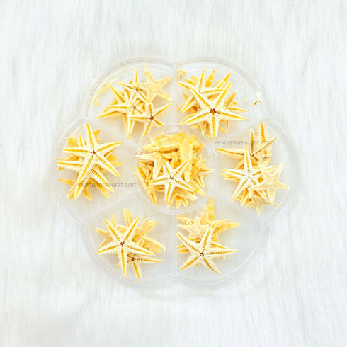 Star fish set for resin art
