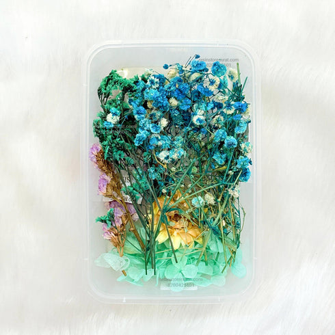 Turquoise Color Dry Flower Box - FL09