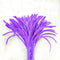 Violet Pipe Cleaner - P12