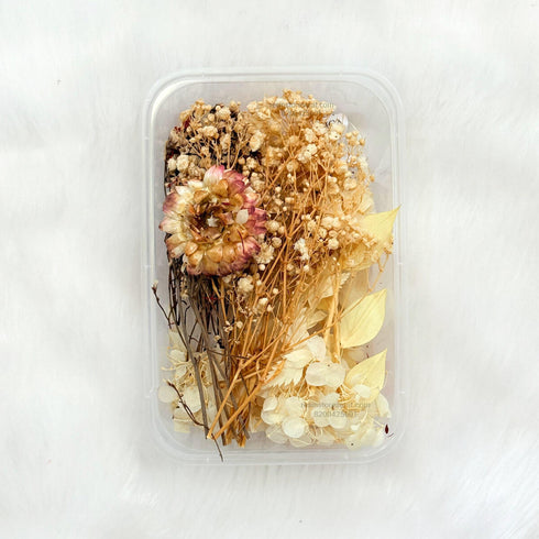 White Color Dry Flower Box - FL05