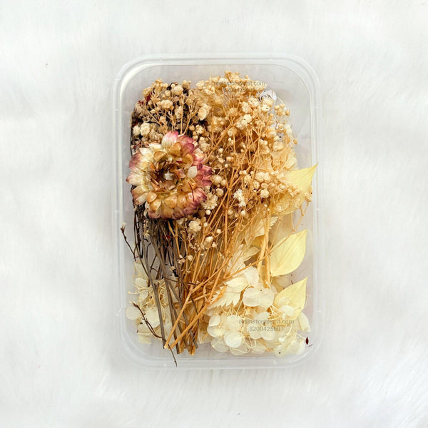 White Color Dry Flower Box - FL05