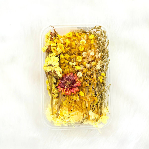 Yellow Color Dry Flower Box - FL10