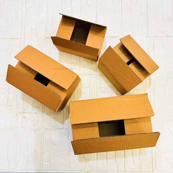 Packing Cardboard Box (5pcs)