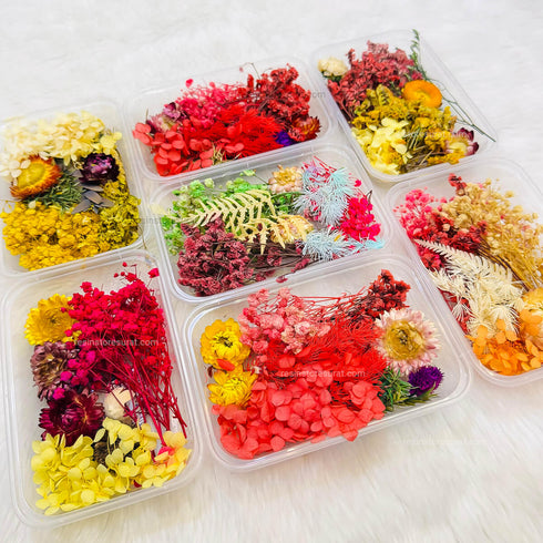 Dry Flower Box - Random Color