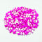 Dual Color Pink oval Beads