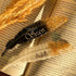 Feather Mould