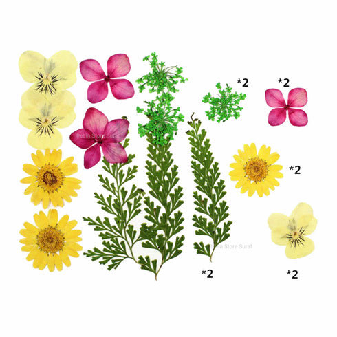 10 In 1 Pressed Dry Flower E