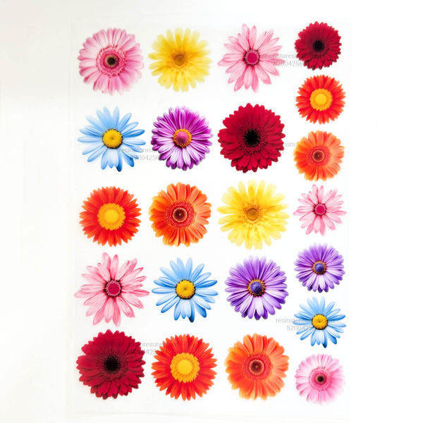 Colorful Flower - A5 Insert Sheet C