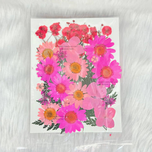 28 In 1 Pressed Dry Flower Pink shade