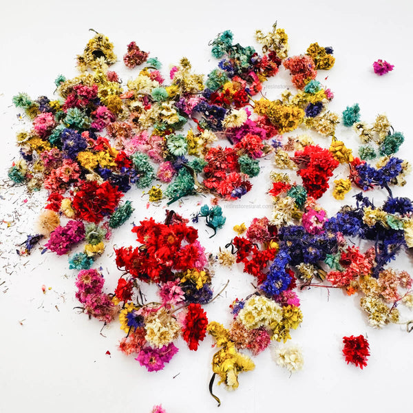 Small Himalaya Dried Flower For Resin