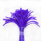 Mauve Pipe Cleaner - P5