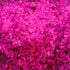 Heart Pink Glitter
