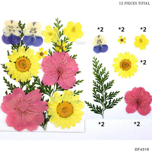 Pressed Dry Flower D