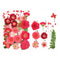 29 In 1 Pressed Dry Flower