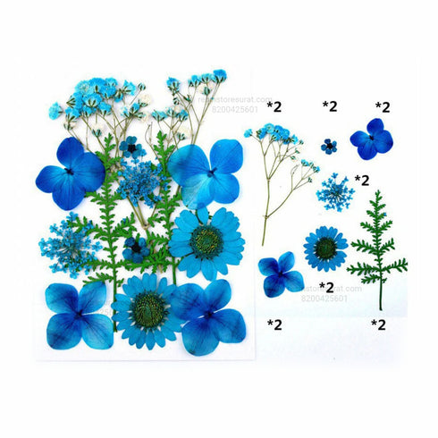 14 In 1 Blue Pressed Dry Flowers