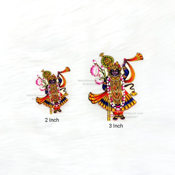 Shrinathji 3D UV Sticker