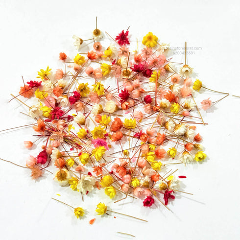 Small Dried Flower For Resin A