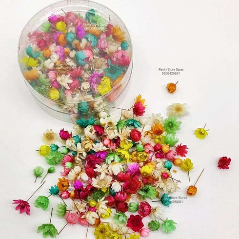Small Dried Flower For Resin