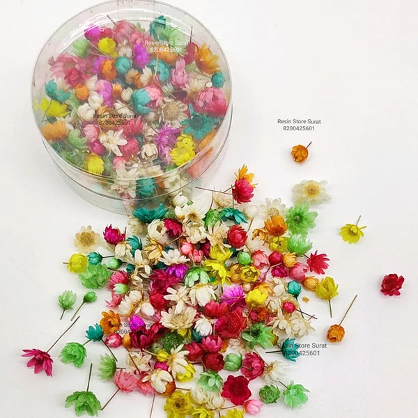 Small Dried Flower For Resin A