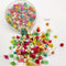 Small Dried Flower For Resin A
