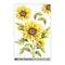 Flower Water Transfer Sticker MIT-41
