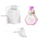 Hexagon Wishing Bottle Mould